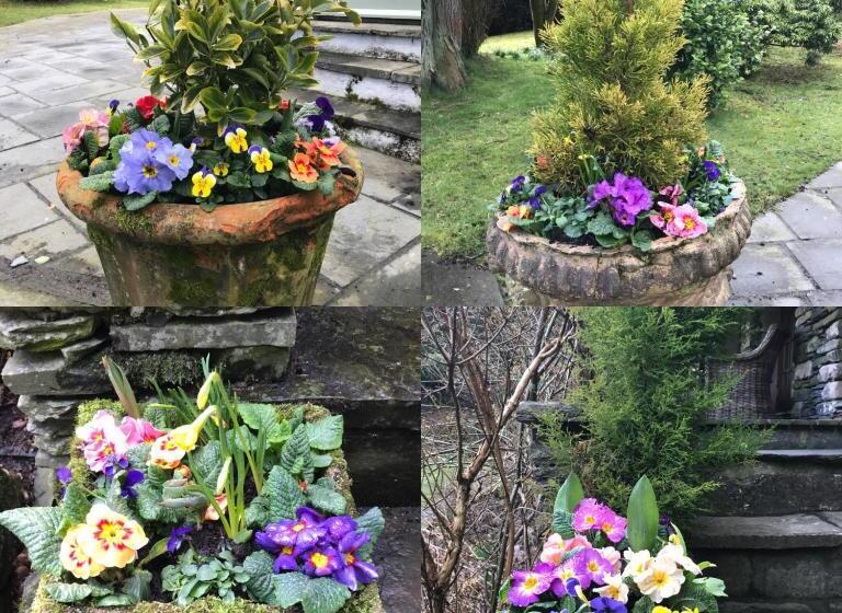 مبيت وإفطار Walker Ground Manor