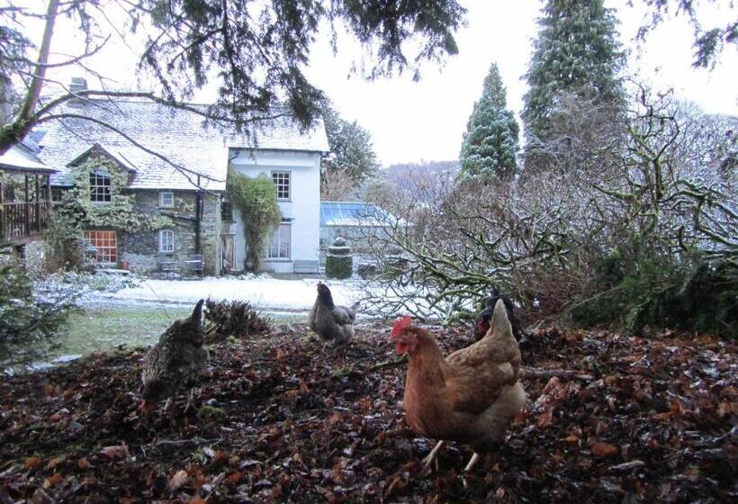 مبيت وإفطار Walker Ground Manor