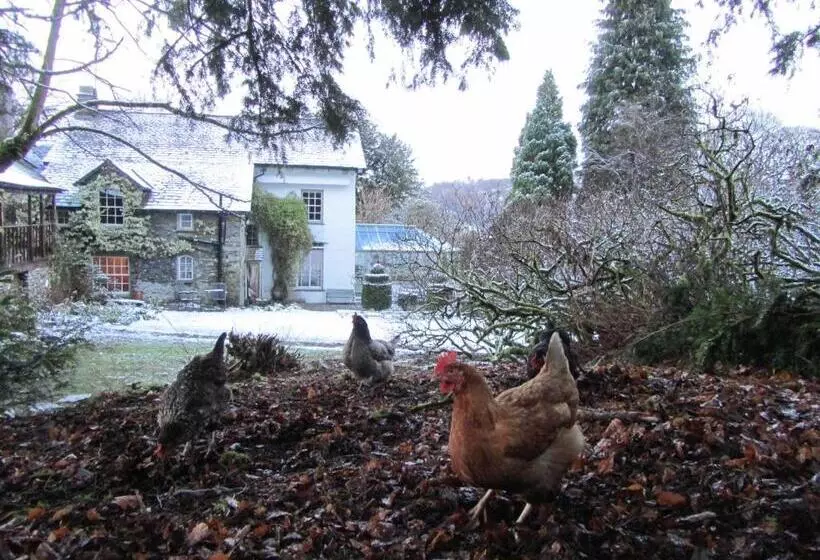 تختخواب و صبحانه Walker Ground Manor