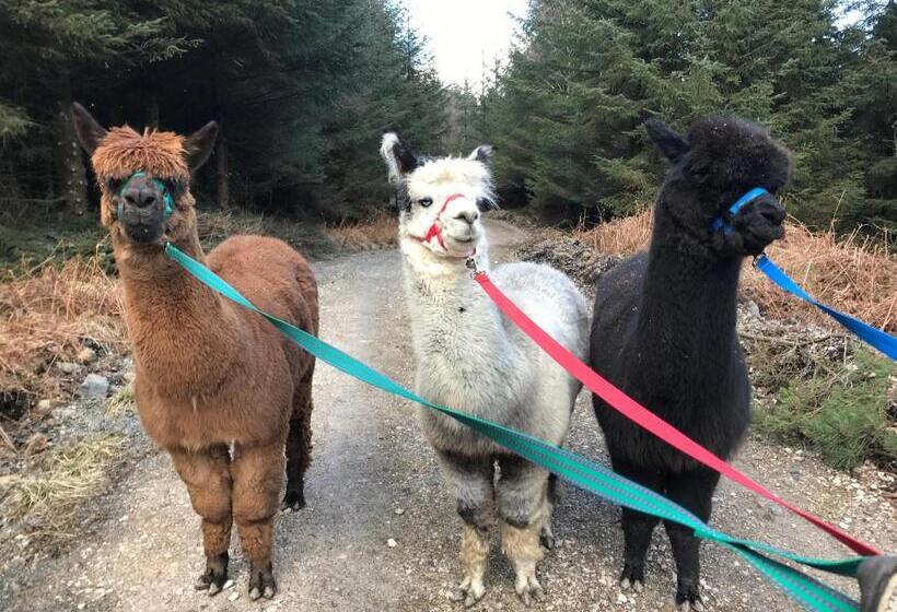 مبيت وإفطار Walker Ground Manor