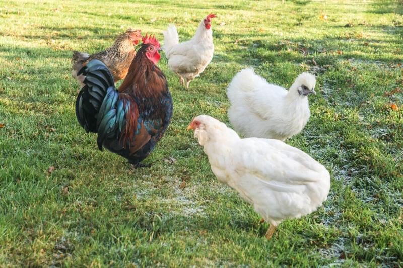 Dunroamin Bed & Breakfast