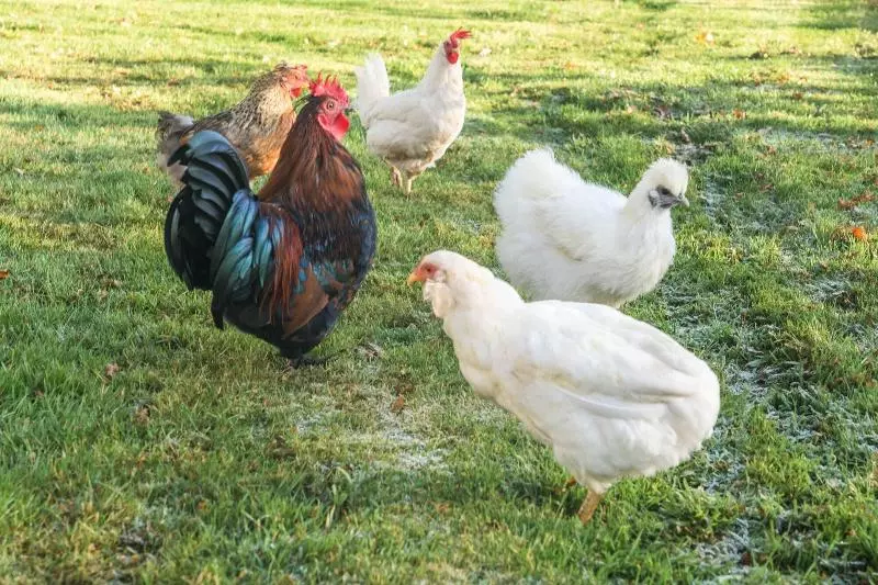Dunroamin Bed & Breakfast