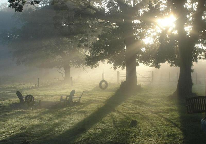 Dunroamin Bed & Breakfast