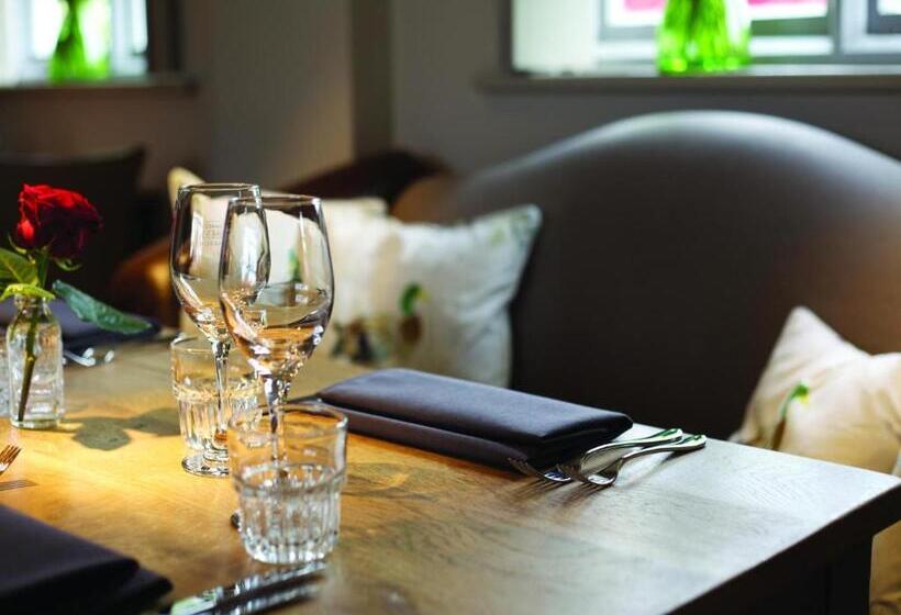 Hotel The Fuzzy Duck