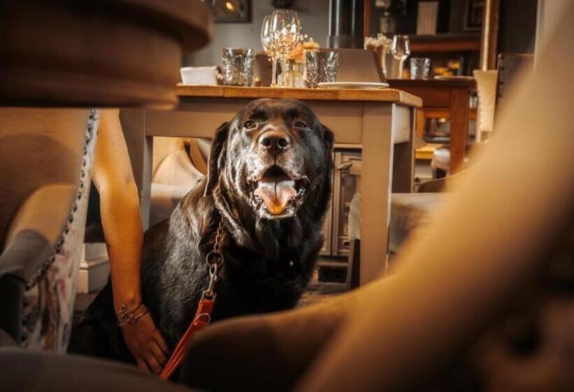 Hotel The Fuzzy Duck