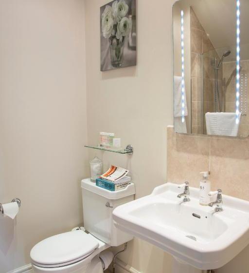 בית מלון כפרי The Salwey Arms