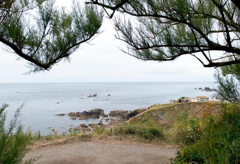 הוסטל Yha Lizard