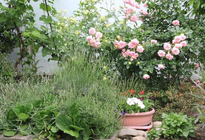 تختخواب و صبحانه Villa Kursa