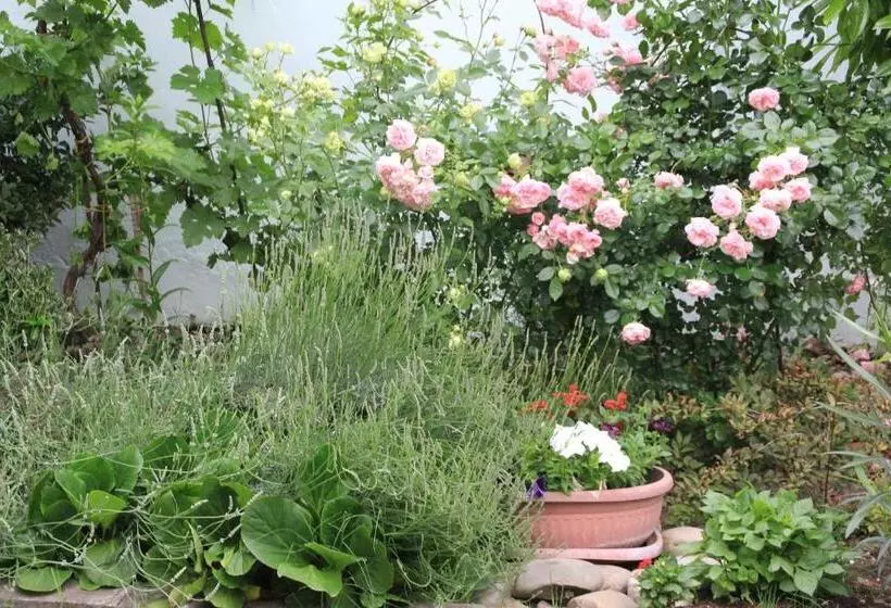 تختخواب و صبحانه Villa Kursa