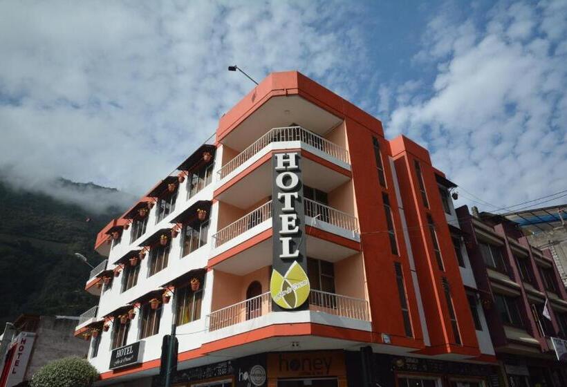 ホテル Flor De Oriente