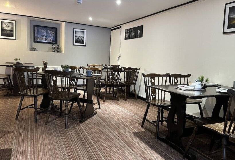 فندق The Lake View