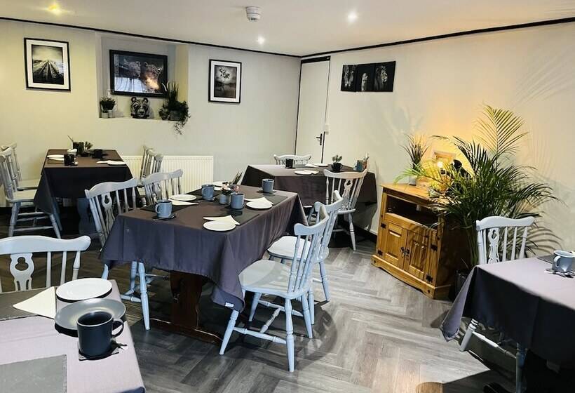 فندق The Lake View