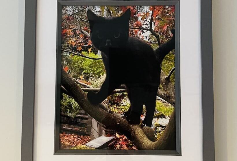 فندق The Lake View