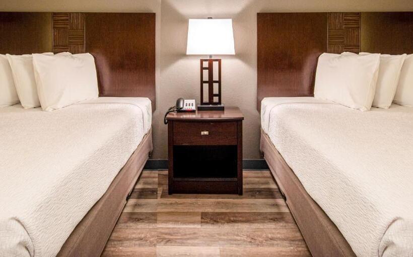 汽车旅馆  Lake View Inn