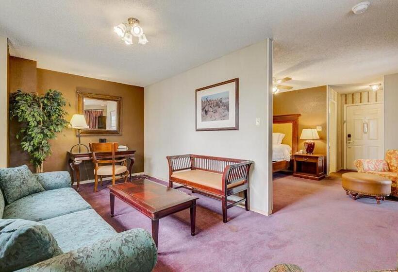 汽车旅馆  Lake View Inn