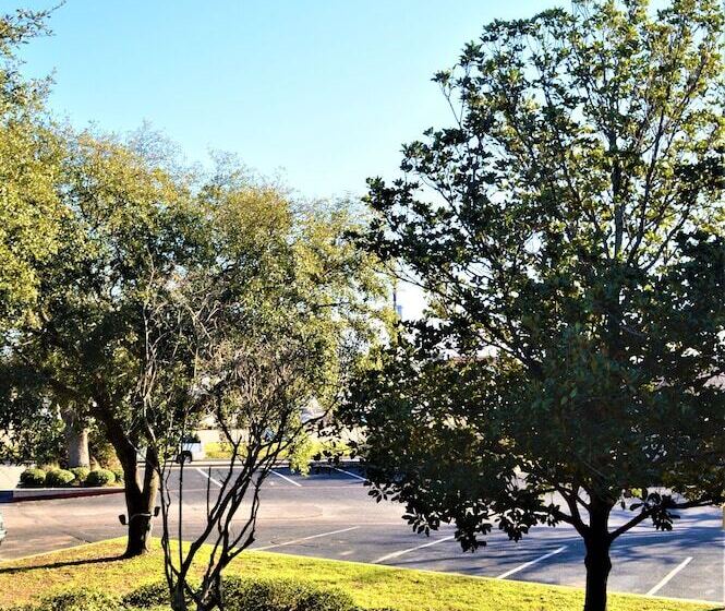 汽车旅馆  Lake View Inn