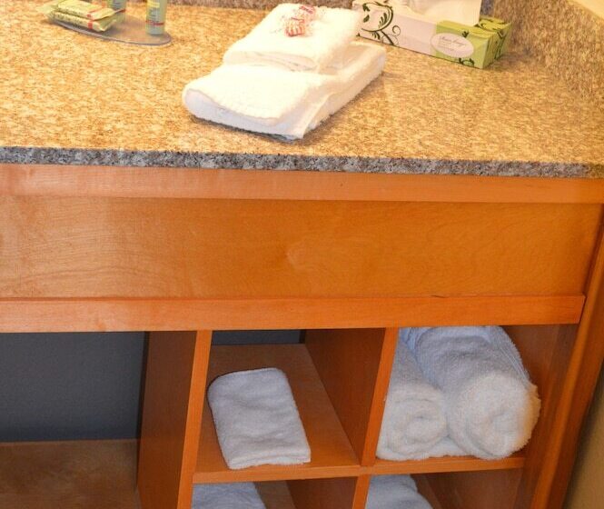 汽车旅馆  Lake View Inn