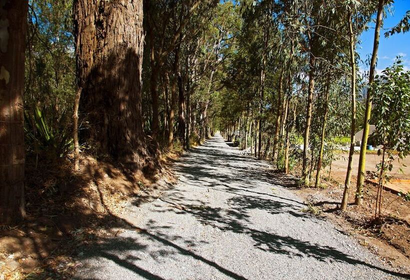 渡假胜地  Hosteria Totoral