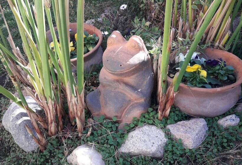 Herberge Hostal Rustyk