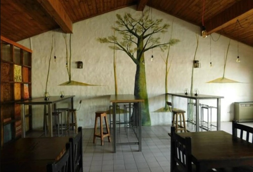 هاستل Hostal Schilling