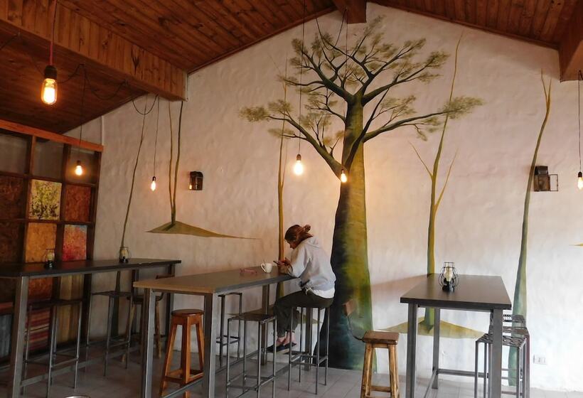 هاستل Hostal Schilling