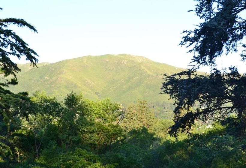 호텔 Ca´montana Hostal Boutique