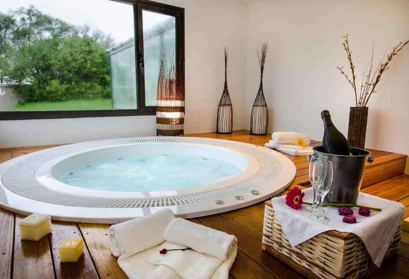 בית מלון כפרי Provincial