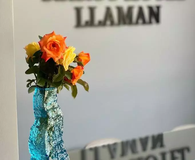 Karos Hotel Llaman