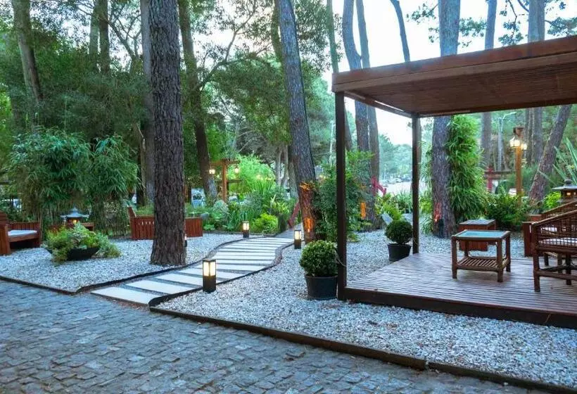 Mizu Hotel Boutique
