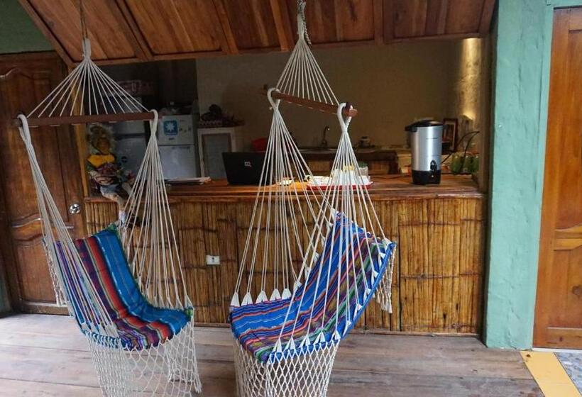 Herberge Hostal Mamacucha