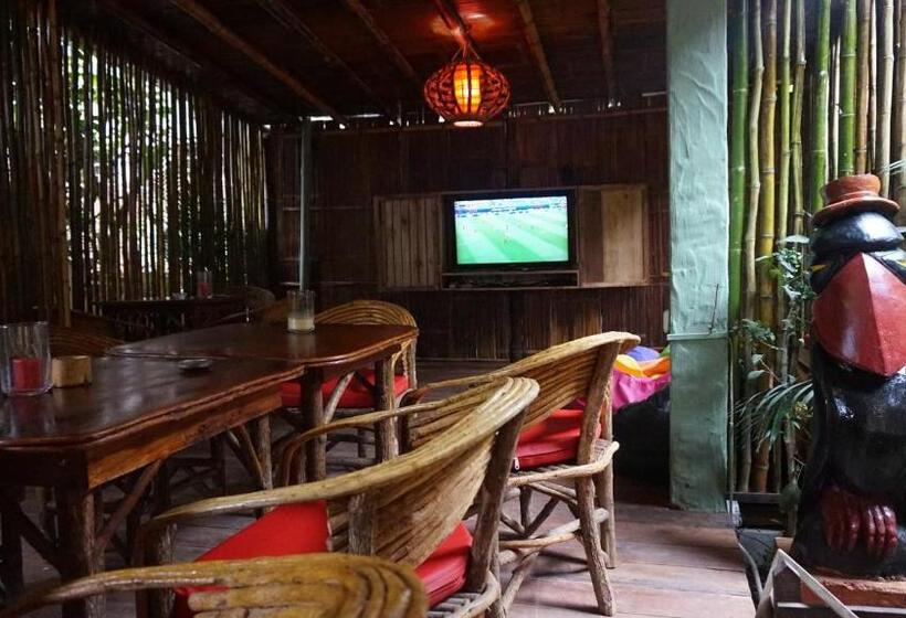 Herberge Hostal Mamacucha