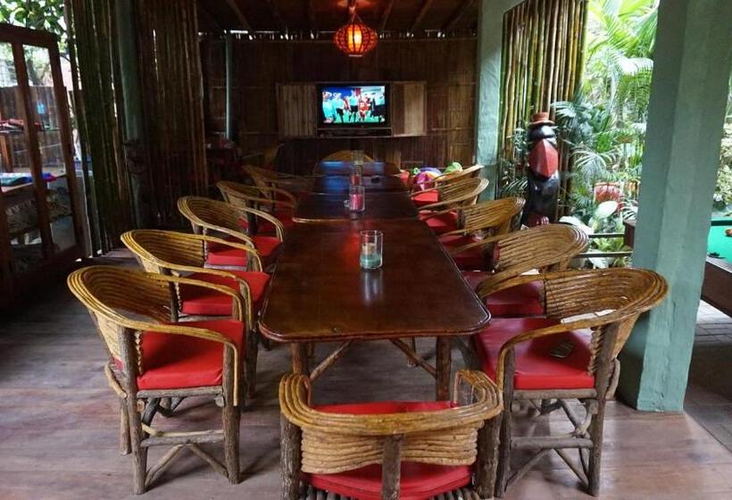 Herberge Hostal Mamacucha