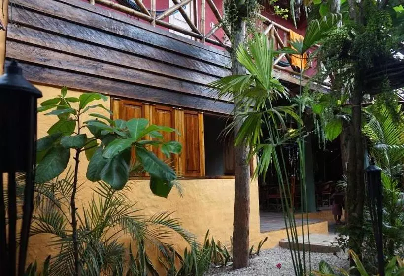 هاستل Hostal Mamacucha