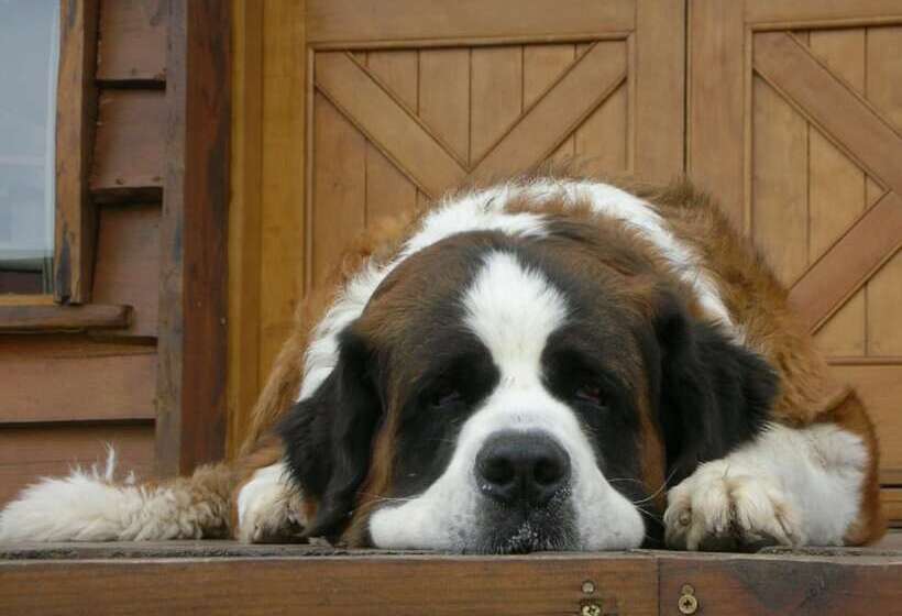 فندق Chamonix Posada & Spa Habitaciones Dentro De La Posada O Loft Con Hidromasaje Y Apartamentos A 300 M