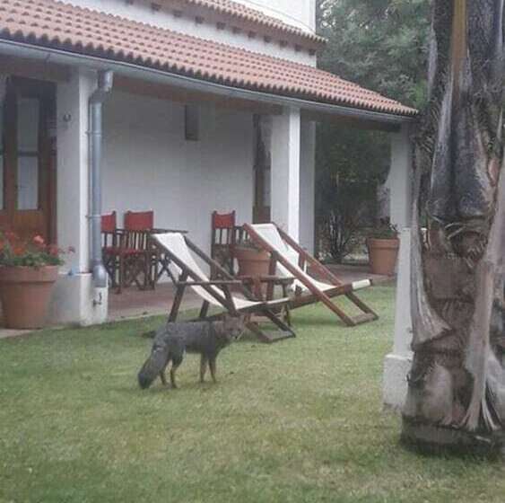 בית מלון כפרי Posada La Candela