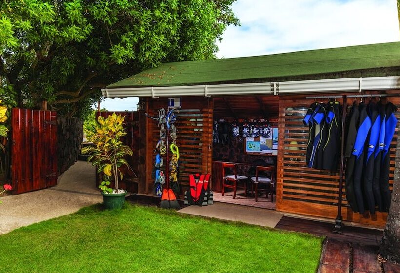 فندق The Wooden House