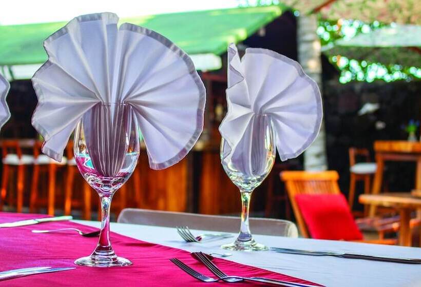 فندق The Wooden House