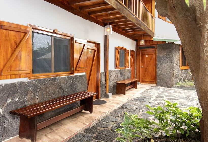 فندق The Wooden House