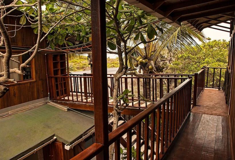 فندق The Wooden House