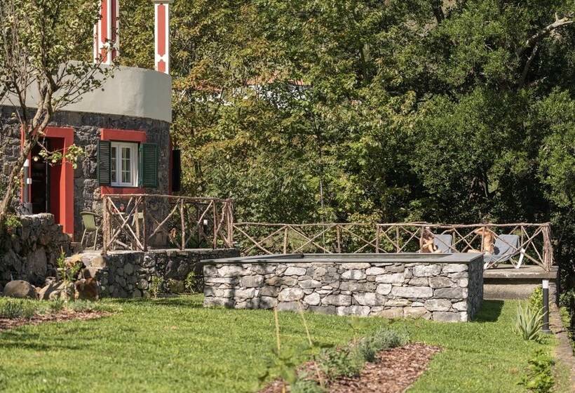 Casa Do Lanço Malvasia, Wine And Laurissilva