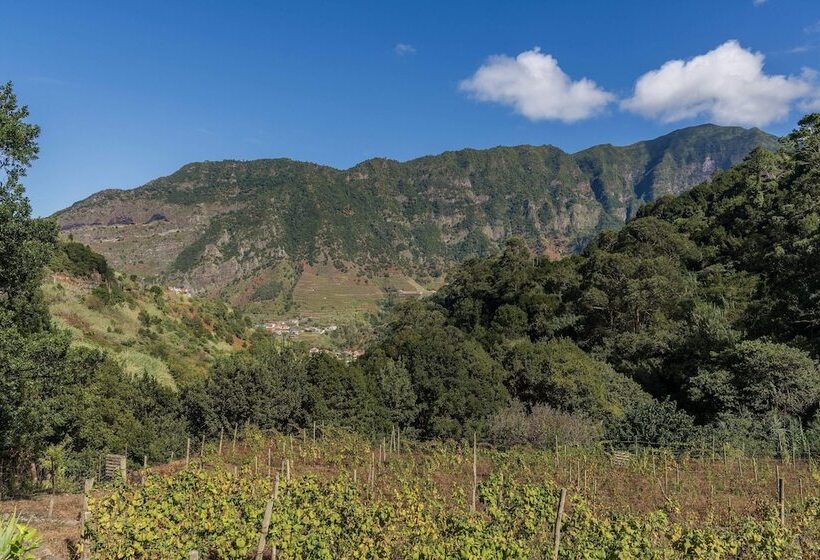 Casa Do Lanço Malvasia, Wine And Laurissilva