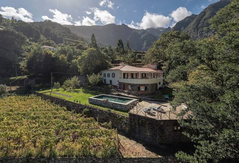 Casa Do Lanço Malvasia, Wine And Laurissilva