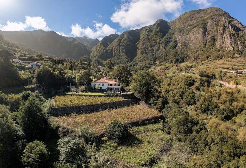 Casa Do Lanço Malvasia, Wine And Laurissilva