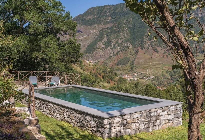 Casa Do Lanço Malvasia, Wine And Laurissilva