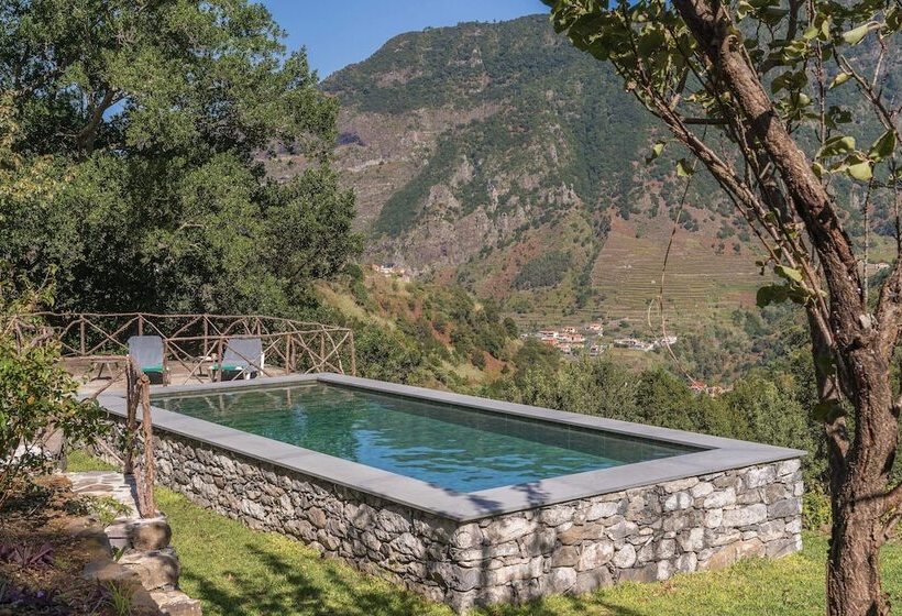 Casa Do Lanço Malvasia, Wine And Laurissilva