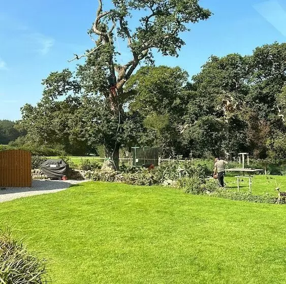 Charming 1 Bed Cottage In Liskeard Cornwall