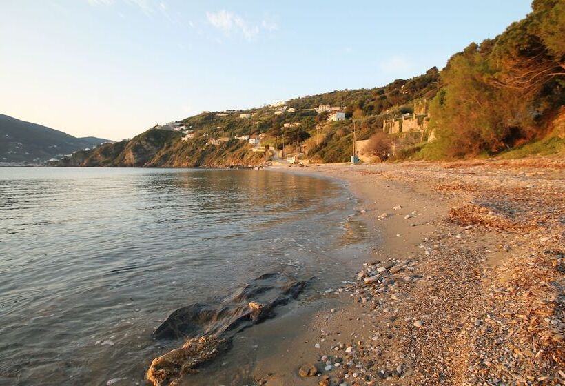 هتل Maeiz Skopelos