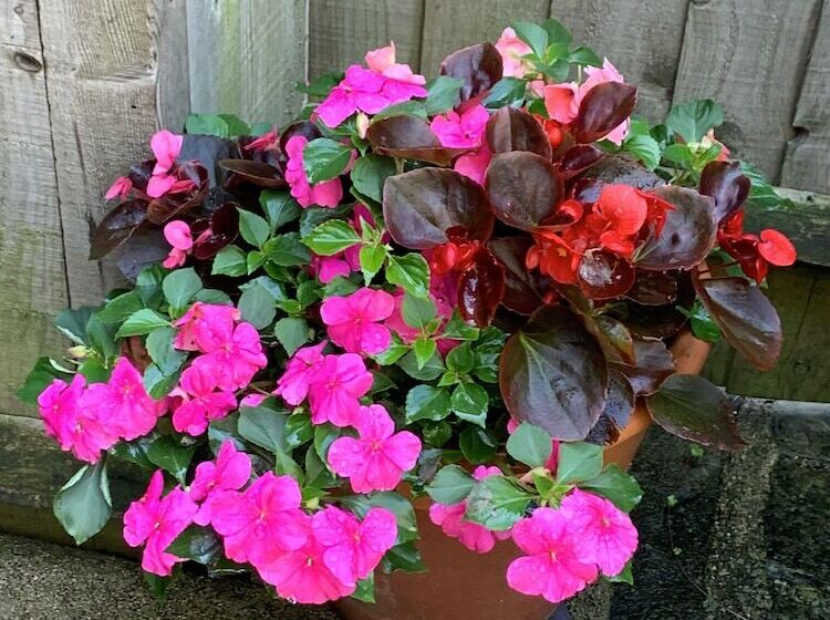 Superbly Appointed 3 Bedrooms And 3 Bathrooms