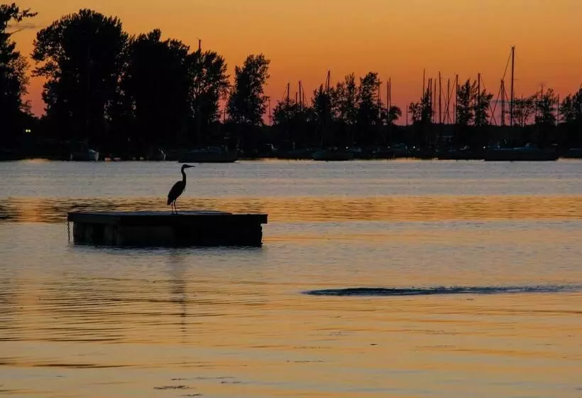Waterfront North Hero Home W/ Screened Porch