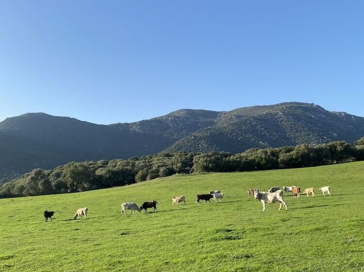 酒店 Domaine Machja